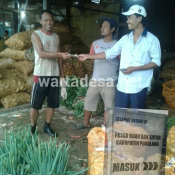 harga tomat