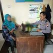 jual miras
