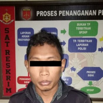 sikat hp