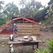 tenda rumah terbakar