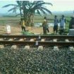 buruh tani tertabrak kereta