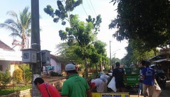 krigan berjumpa