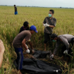 penemuan mayat di pemalang