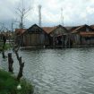 sawah rob
