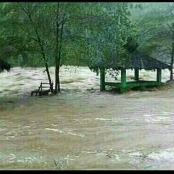 lolong banjir