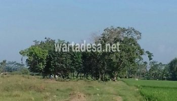 akses ke makam