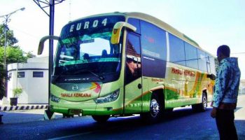 pahala kencana