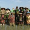 asip pertanian