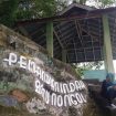 batu nongol