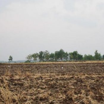 kekeringan pekalongan