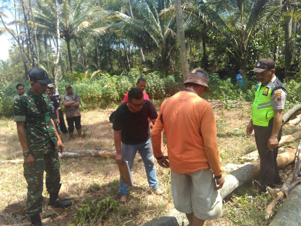 Tewas-Tertimpa-Pohon