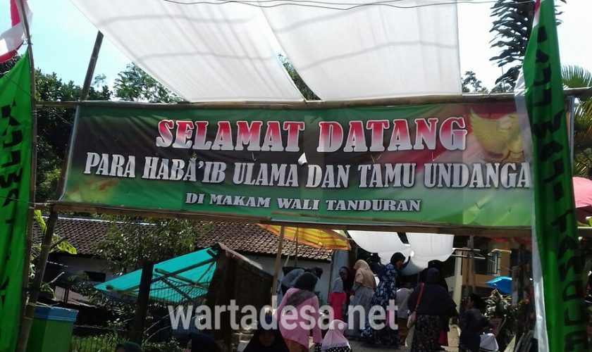 wali tanduran