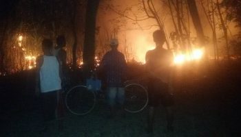 kebakaran kebun tebu wonorejo