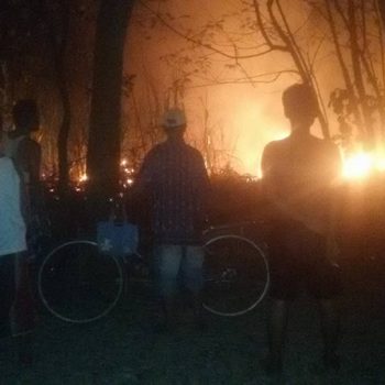 kebakaran kebun tebu wonorejo