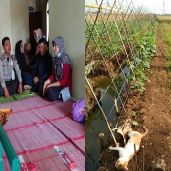 tewas kesetrum genset