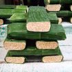 tempe daun 1