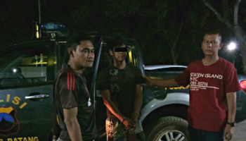 nyolong manuk batang