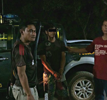 nyolong manuk batang