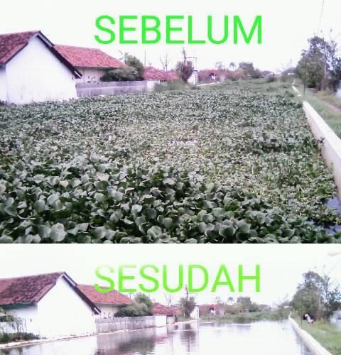 kali bremi