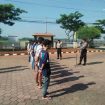 pesta miras