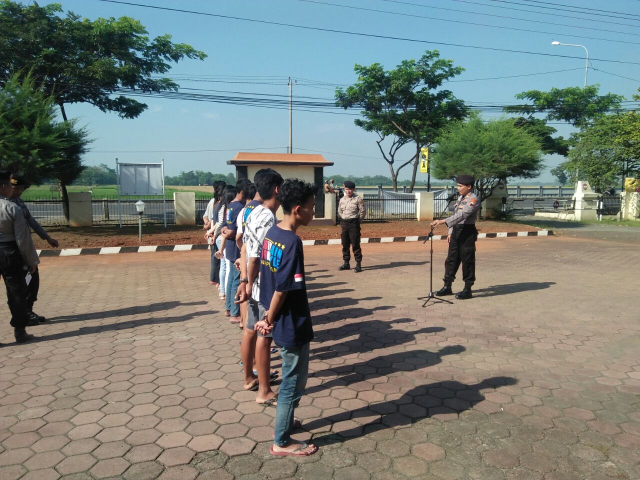 pesta miras