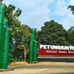 petungkriyono