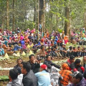 budaya petungkriyono