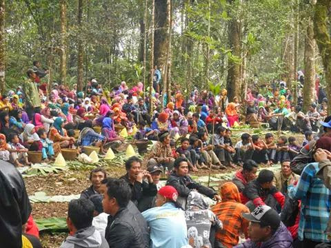 budaya petungkriyono