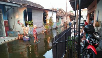 rob pekalongan senin