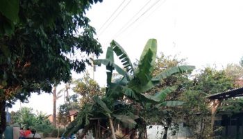 blokade jalan tangkiltengah