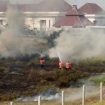 kebakaran lahan gambut