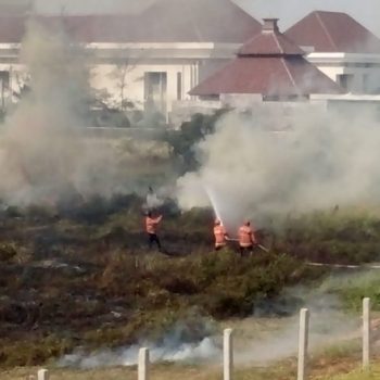 kebakaran lahan gambut