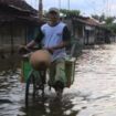 banjir rob