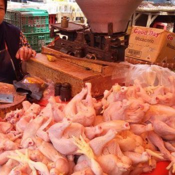 ilustrasi jualan ayam