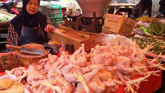 Harga ayam di Pekalongan capai Rp. 40 ribu