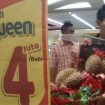 durian jqueen