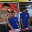 pencuri sapi