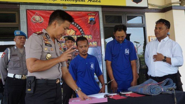 pencuri sapi