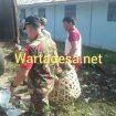 sampah