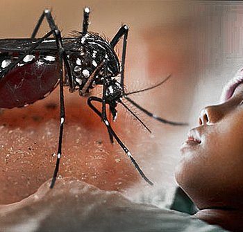 gejala-demam-berdarah