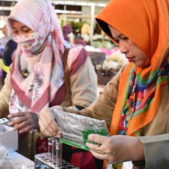 bahan pengawet