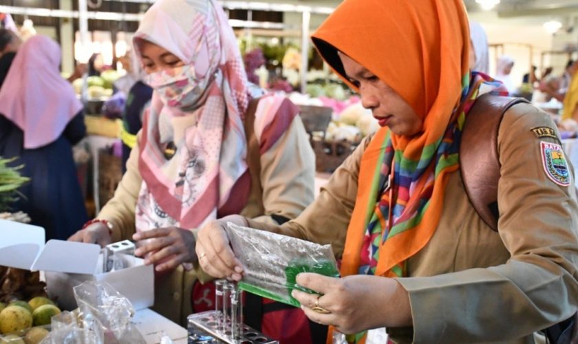 bahan pengawet
