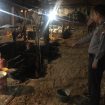 kandang ayam kebakaran