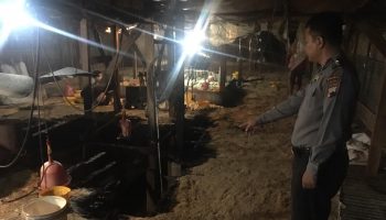 kandang ayam kebakaran