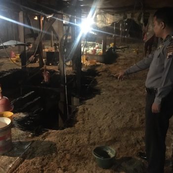 kandang ayam kebakaran