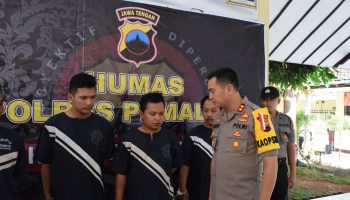 togel pemalang