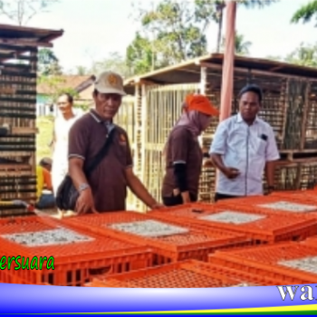 bekerja