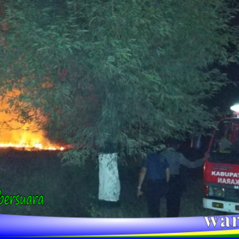lahan terbakar