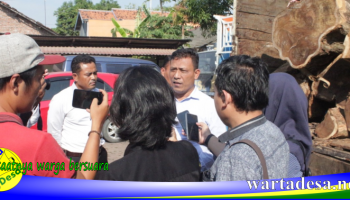 penebangan kayu
