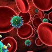 perempuan rentan hiv